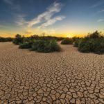 Schwerste Dürre seit 70 Jahren – Katastrophenzustand droht