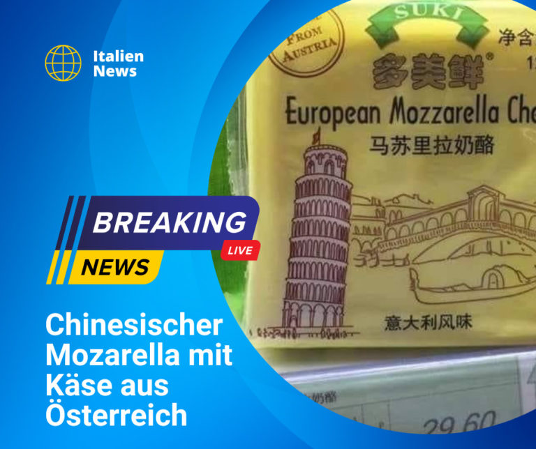 Chinesischer Mozarella mit Käse aus Österreich