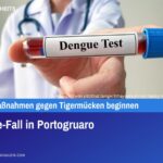 Dengue-Fall in Portogruaro